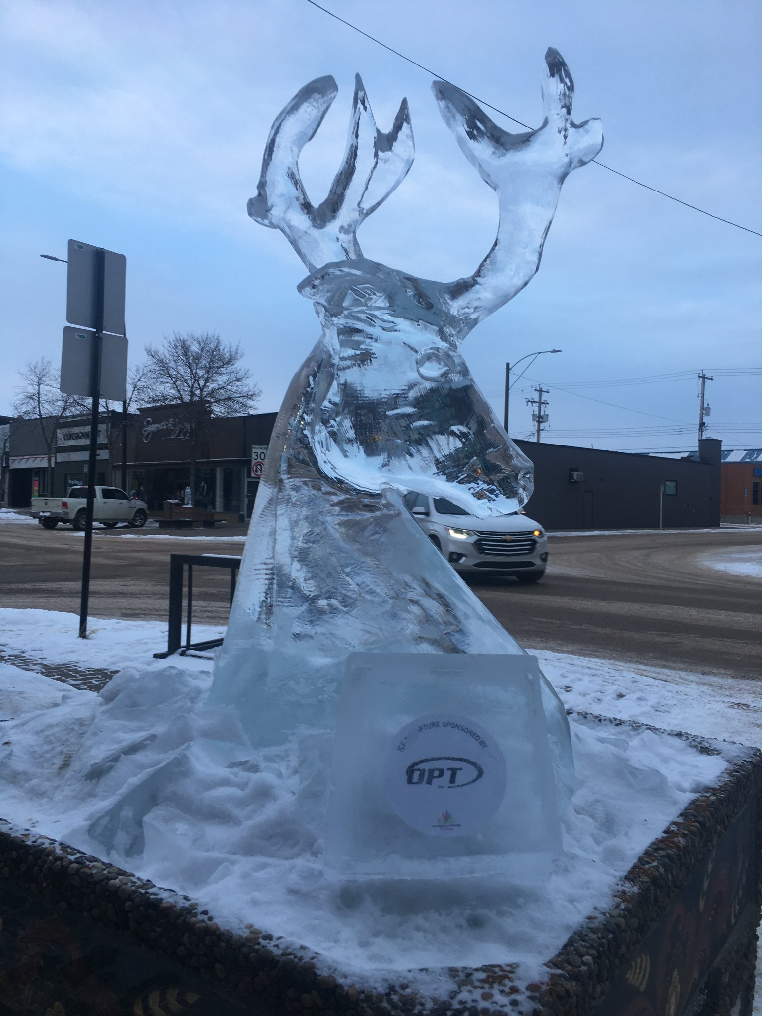 Buck head ice sculpture