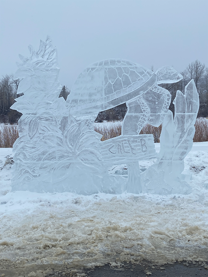 Sea turtle ice sculpture