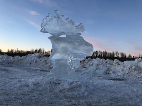 Moose head ice sculpture at sunset