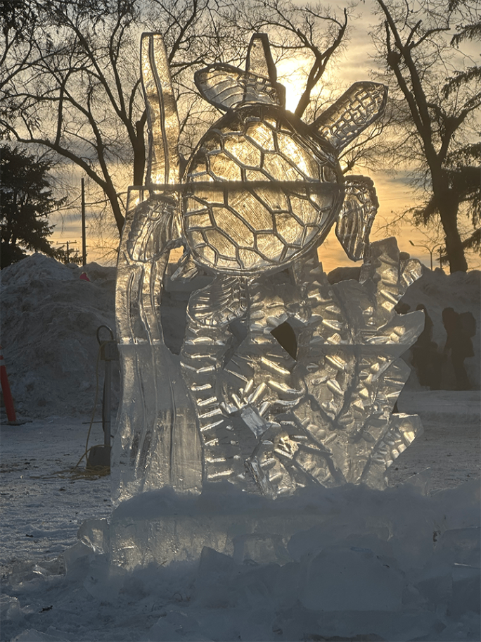 Sea turtle ice sculpture