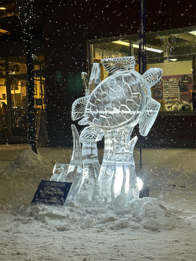Sea turtle ice sculpture at Deep Freeze