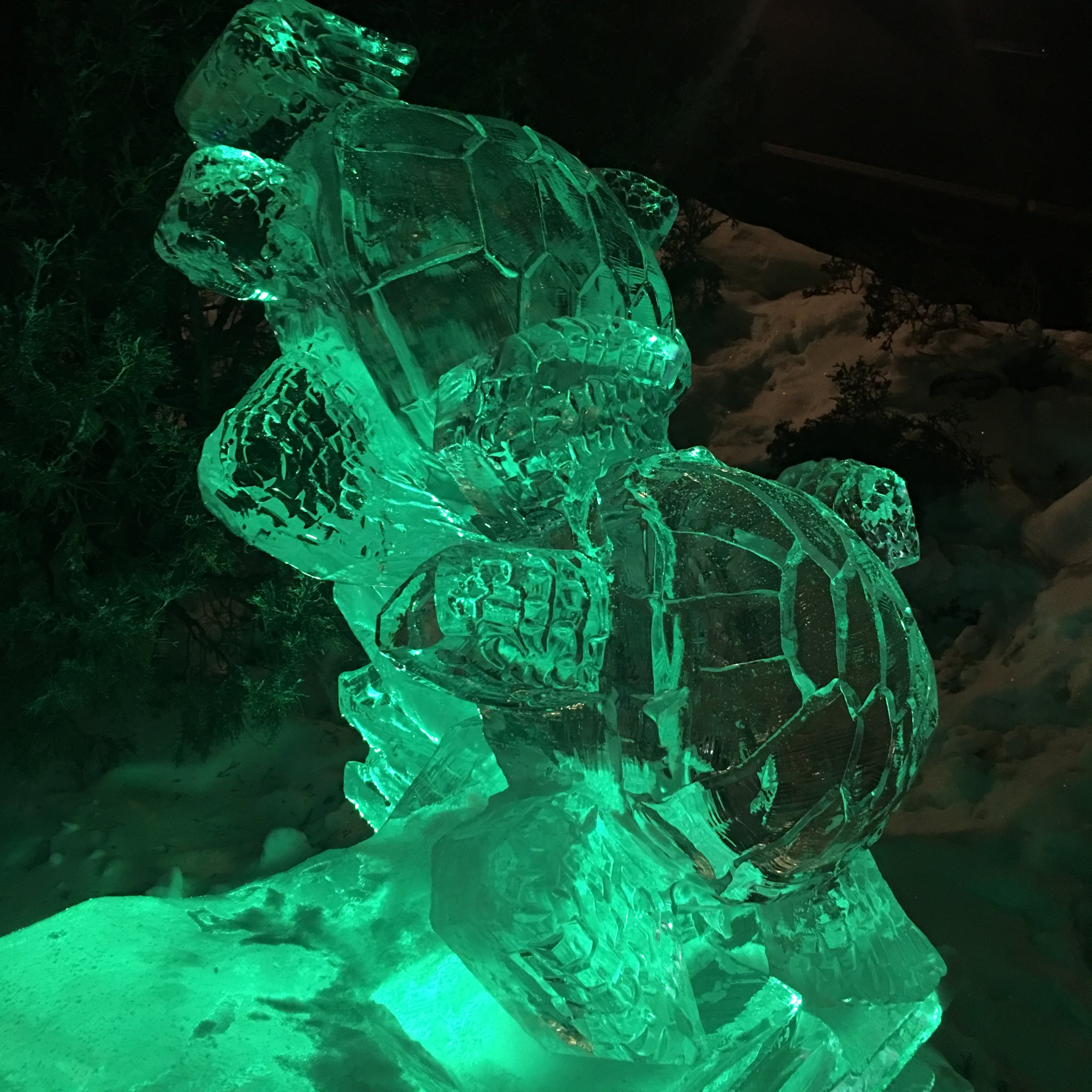 Sea turtles ice sculpture at night
