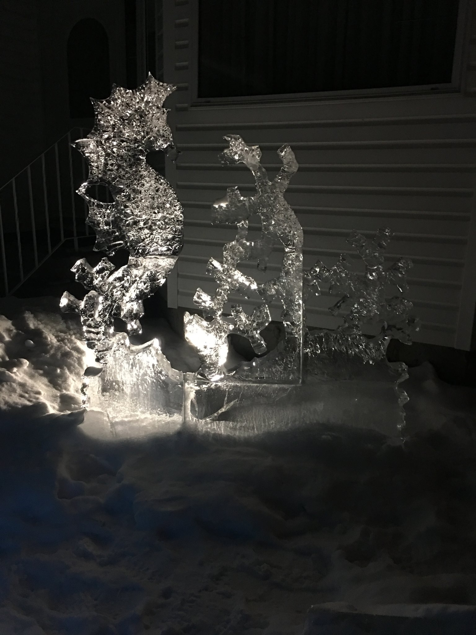 Seahorse ice sculpture private commission
