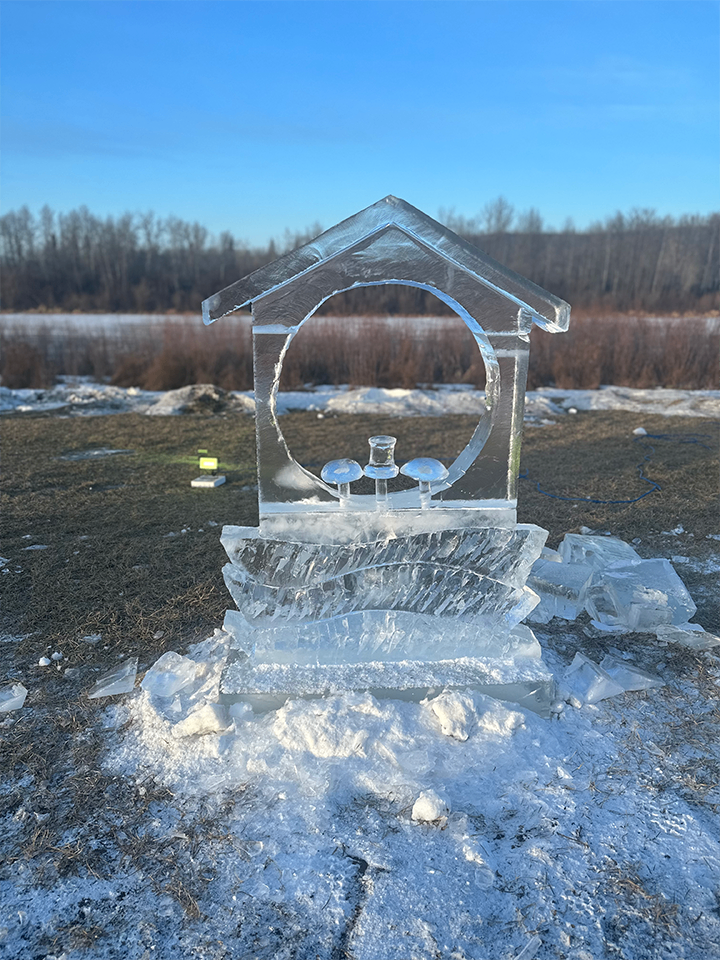 Tax shelter house ice sculpture